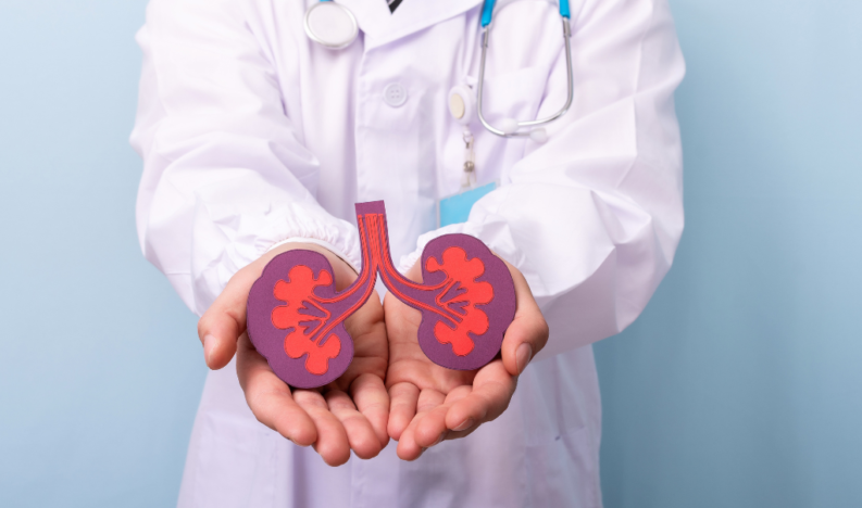 Urology Urology